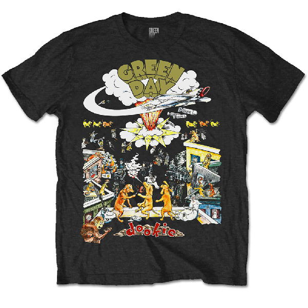 Green Day ツアーtシャツ グリーンデイ バンt ヴィンテージ-